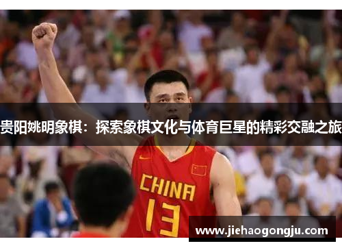 贵阳姚明象棋：探索象棋文化与体育巨星的精彩交融之旅