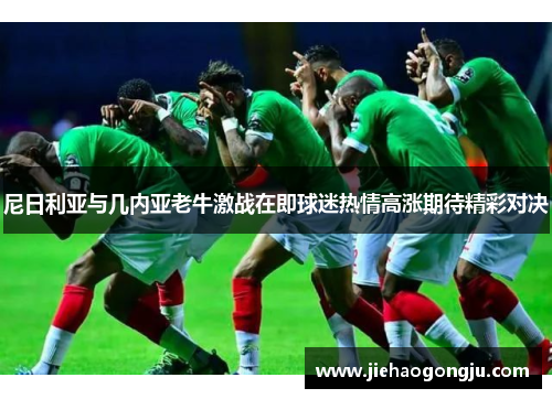 尼日利亚与几内亚老牛激战在即球迷热情高涨期待精彩对决