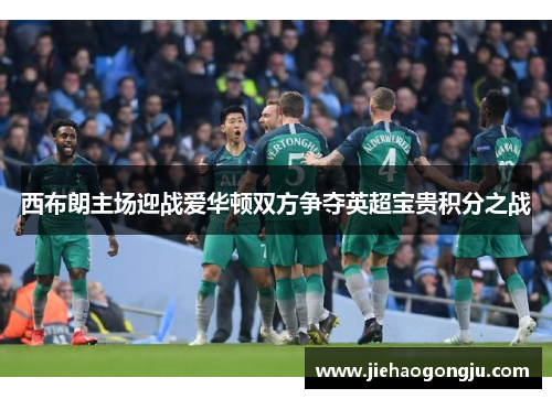 西布朗主场迎战爱华顿双方争夺英超宝贵积分之战
